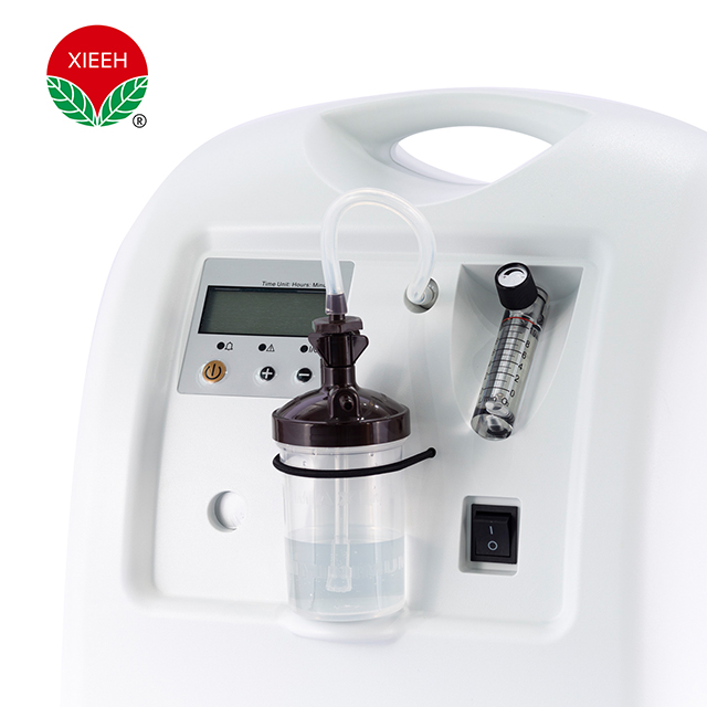 Concentratore di ossigeno medico di alta qualità di vendita calda 5L 10L per uso medico e domestico Classe II